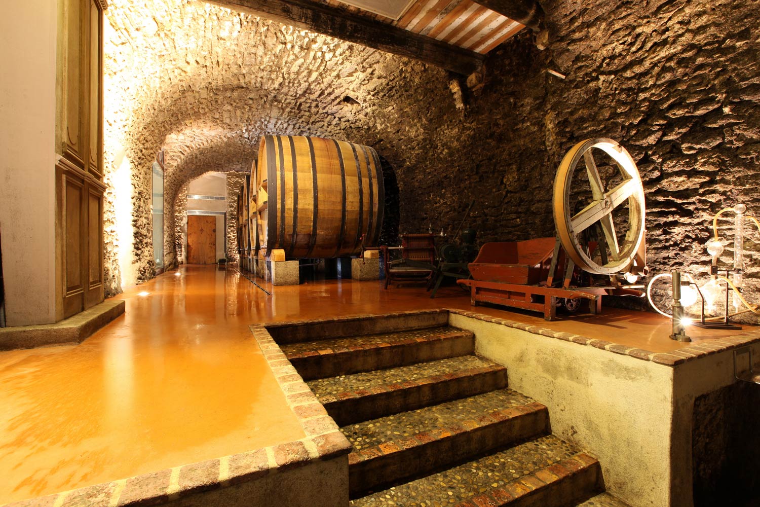 I hjärtat av byn Châteauneuf du Pape ligger Vignobles Mayards vinkällare. Där kan man se resterna av ett stenvalv från ett 1700-tals chateau elegant bryta av mot en modern interiör.